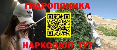 прущие грибы Пыть-Ях
