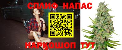прущие грибы Пыть-Ях