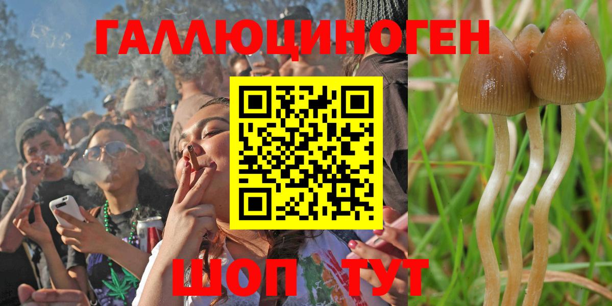 Дальнегорск  Псилоцибиновые грибы MAGIC MUSHROOMS  Вход с VPN  Псилоцибиновые грибы Cubensis 